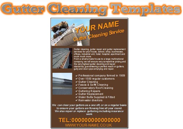 Gutter Cleaning Business