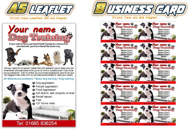 dog training Business