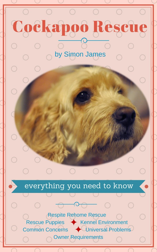 Cockapoo Rescue