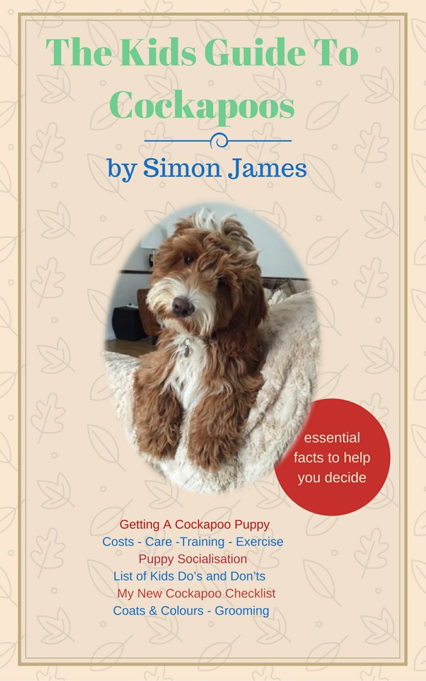 The Kids Guide To Cockapoos