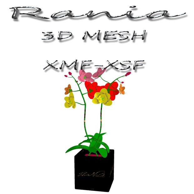 RaNiA-Furniture MeSH-14
