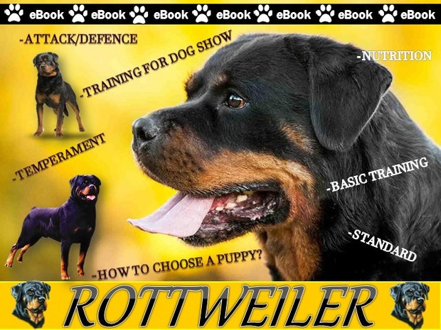 Rottweiler eBook