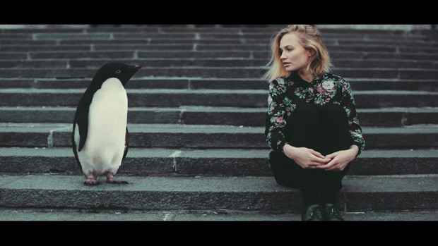 Rocket Rooster Cinema Colour II Basic