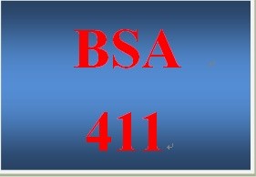 BSA 411Week 2 Learning Team Description of Organization and Business Need