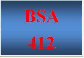 BSA 412 Week 3 Learning Team eSoft System Model Week Three Preparation