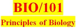 BIO 101 Week 4 Structure and Functions of Organs