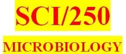 SCI 250 Week 7 Final Exam