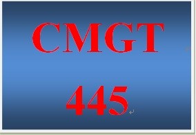 CMGT 445 Week 4 Participation Supporting Activity Enterprise Systems