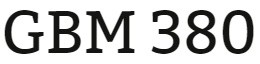 GBM 380 Week 4 Feasibility Study