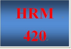 HRM 420 Week 3 Succession Plan Risks