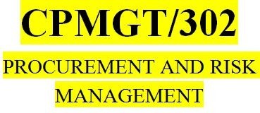 CPMGT 302 Week 4 Procurement Planning Paper