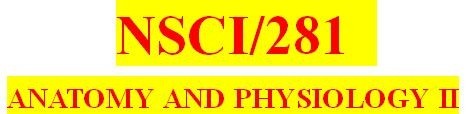 NSCI 281 Week 1 Anatomy & Physiology Revealed Worksheets