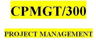 CPMGT 300 Week 5 Breaking Down the Work