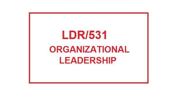 LDR 531 Week 2 Team Weekly Reflection