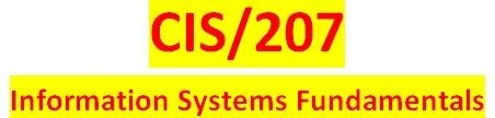 CIS 207 Week 2 Individual Information Use Paper