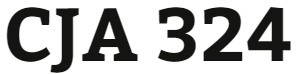 CJA 324 Week 4 Ethical Violations Paper