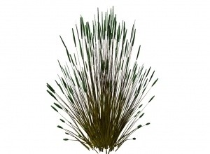 Reed mesh