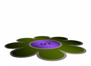 Flower Rug Mesh