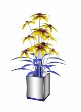 Black eyes plant MESH