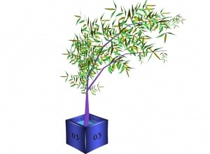 Bamboo plant potted MESH