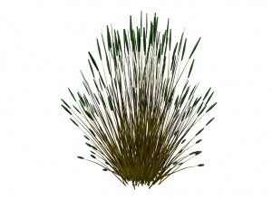 Reed mesh