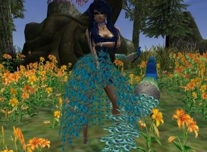 Peacock dress