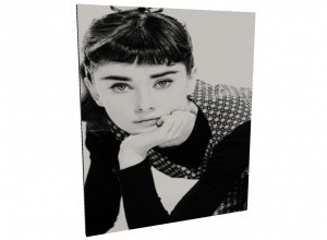Audrey frameless picture mesh