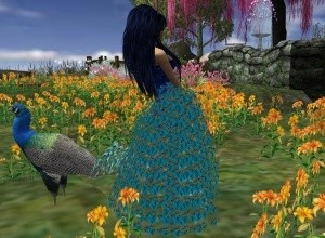 Peacock dress