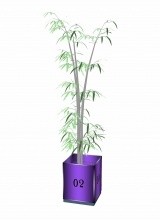 Bamboo plant pot