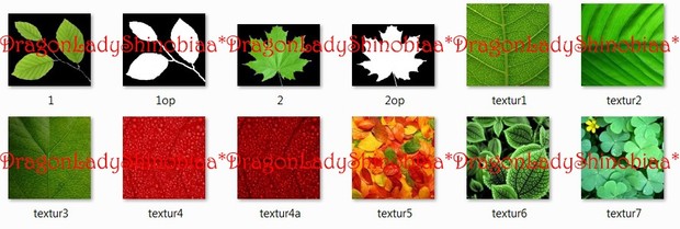 Leaf Textures