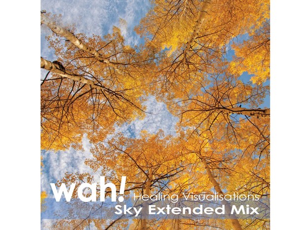 Healing Visualisations (Sky Extended Mix)