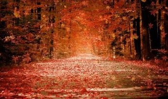 Animated Dream Fall