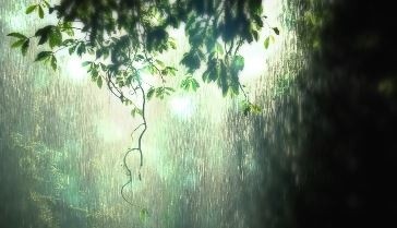 Natural Rain