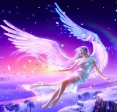 Asian Nights Dreams