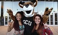 LDR-620-O500 Week 2 DQ 2- Grand Canyon University : A Socially Conscious Organization PowerPoint