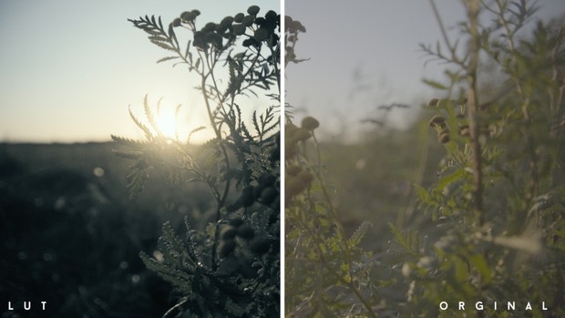 VIDEO | Blackstar Color Grading/ Lut
