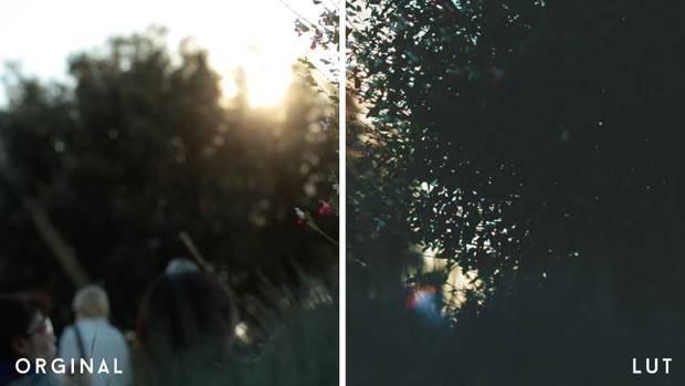VIDEO | Florence Color Grading/Lut V.1