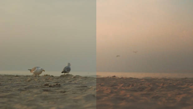 VIDEO | Baltic Sea Color Grading/Lut V.1