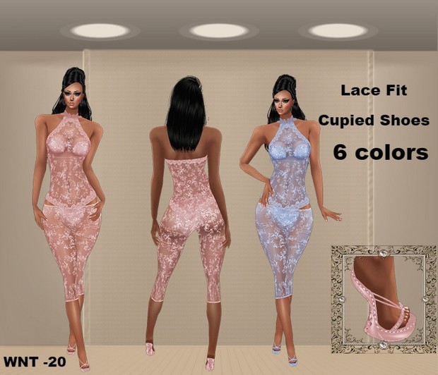 WNT -20 Bundle