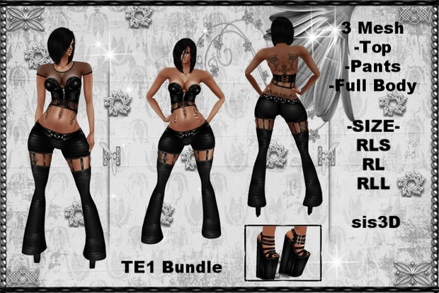 TE1 Bundle