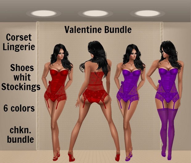 WNT -32 Valentine Corset Lingerie Bundle