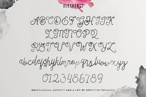 Bleakerst Script ( Anniv Free Sale )