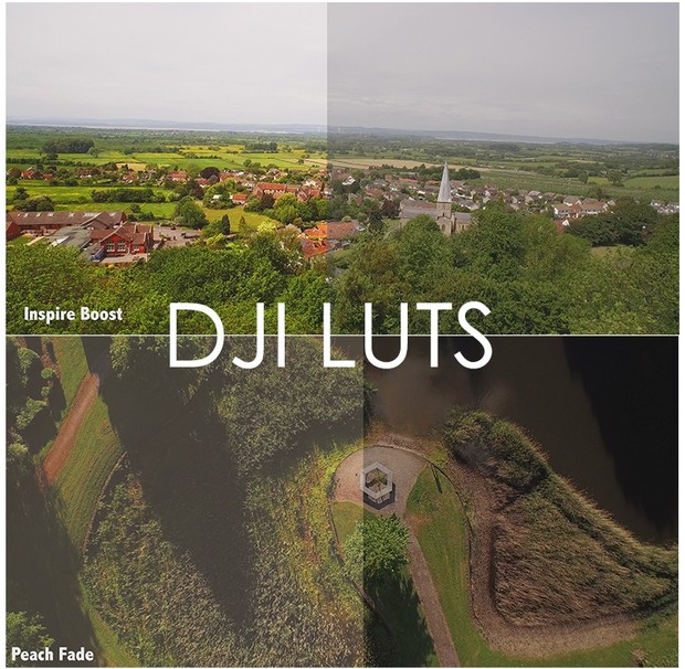 DJI Phantom I Inspire LUT