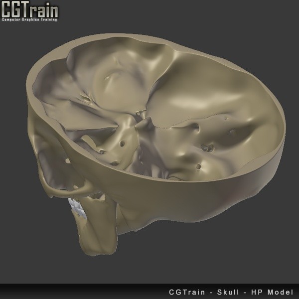 Skull - 3D Print model