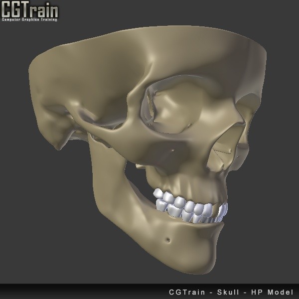 Skull - 3D Print model