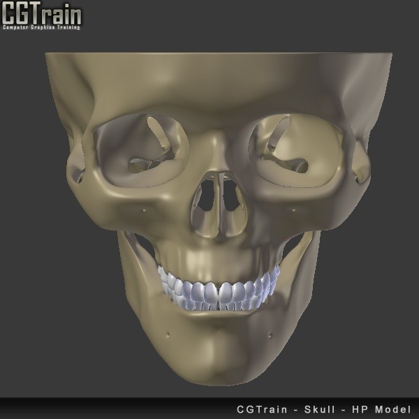 Skull - 3D Print model