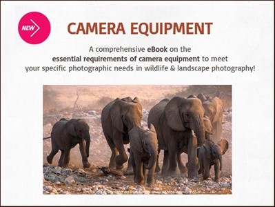 The essential requirements of camera equipment for wildlife & landscape photography in Africa