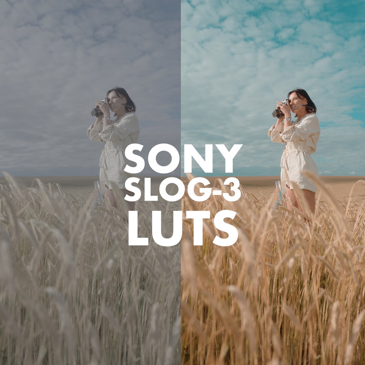 sony slog3 lut premiere pro free download