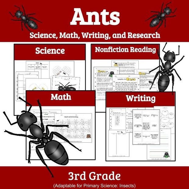 Ants: A Unit Study of Ants