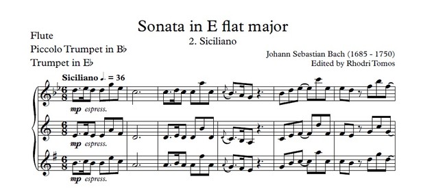 Bach BWV 1031 Sonata in E flat major. Piano accompaniment mp3 & solo sheet music pdf.